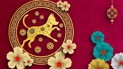 Zodiac CHINEZESC săptămânal 5-11 noiembrie 2018. Un nou sfat ÎNŢELEPT chinezesc!