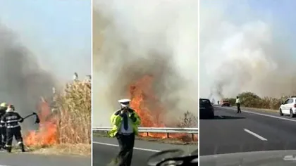 Incendiu de vegetaţie pe autostrada A1. Circulaţia se desfăşoară îngreunat