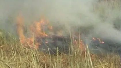 Incendii de vegetaţie în Bihor. Doi oameni au suferit arsuri grave