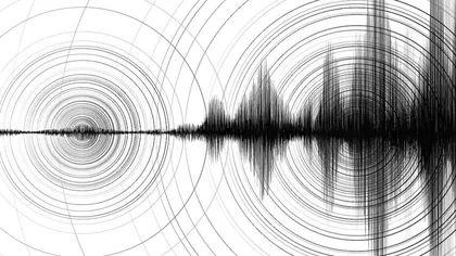 Cutremur cu magnitudine 3.2 în zona Vrancea-Buzău