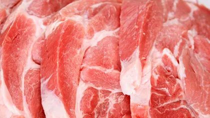 CUM RECUNOŞTI porcul afectat de pestă, ce se întâmplă dacă mănânci carne infestată