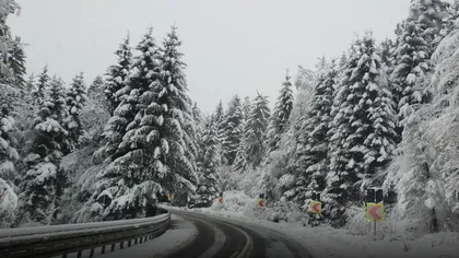 Vreme de iarnă în România. Trei zile de frig în toată ţara, ninsori şi viscol la munte. Meteorologii au emis noi alerte