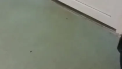 Gândaci filmaţi lângă o sală de operaţii, la Spitalul Judeţean din Craiova. DSP anunţă noi controale