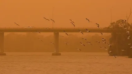 Furtună de nisip de proporţii impresionante. Aerul a devenit irespirabil, autorităţile au emis alerte VIDEO