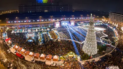 Primăria Capitalei a montat bradul de Crăciun în Piaţa Constituţiei. Când se deschide Târgul de Crăciun din Bucureşti
