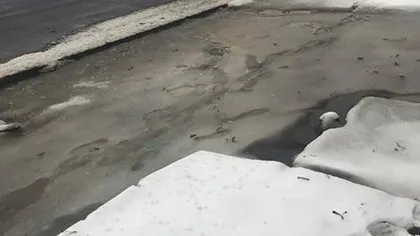 Drumarii olteni au turnat asfalt pe cod portocaliu de ninsoare VIDEO