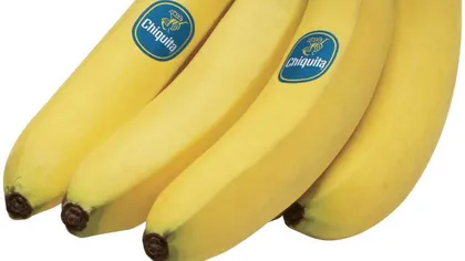 Mare atenţie. Toţi consumatorii de banane sunt în pericol. A fost plantată prima cultură de banane care creşte fără pământ