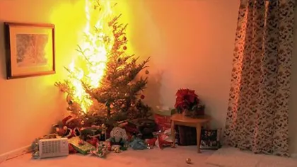 MINUNE DE CRĂCIUN LA TIMIŞOARA. Familie salvată de căţel după ce bradul de Crăciun a luat foc în sufragerie