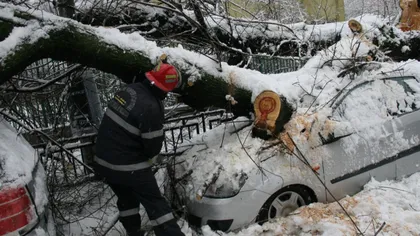 Vremea rea a făcut ravagii în 16 judeţe şi Capitală: Peste 150 de arbori doborâţi din cauza vântului şi a zăpezii, anunţă IGSU