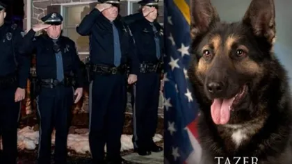 Câine poliţist, bolnav de cancer, condus cu onoruri militare de 70 de ofiţeri