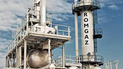 Consiliul Concurenţei a demarat o anchetă pentru verificarea condiţiilor în care Romgaz şi Petrom furnizează gaze naturale