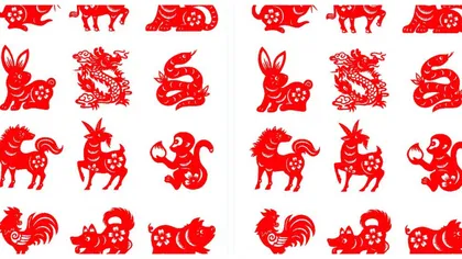 Zodiac chinezesc, a început Anul Mistreţului de Pământ! Specialiştii FENG SHUI dau pentru FIECARE ZODIE sfaturi, predicţii şi REMEDII!