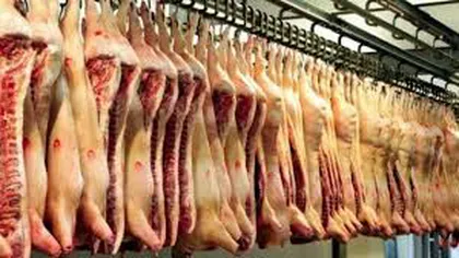 Peste o tonă de carne de porc din Ungaria, sub sechestru cu suspiciunea de infectare cu pesta porcină