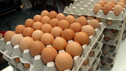 Dosar penal pentru patronii fermei de păsări de la Scorniceşti, care a livrat ouă contaminate cu Fipronil