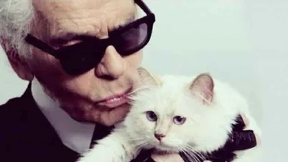 Ce avere a moştenit pisica lui Karl Lagerfeld, Choupette. Este unica moştenitoare FOTO
