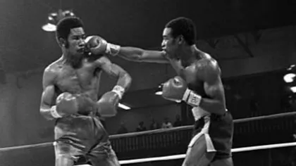 A murit Rocky Lockridge, boxerul cu cel mai faimos plâns din lume. Izbucnirea sa în direct la tv a devenit virală VIDEO