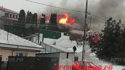 Incendiu violent lângă casa lui Adrian Porumboiu. Vila fostului arbitru, în pericol VIDEO
