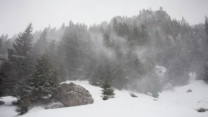 Avertizare meteo COD GALBEN. Zăpadă viscolită în zonele montane UPDATE