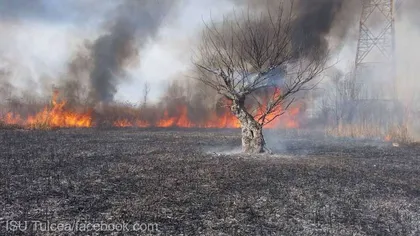 Peste 40 de hectare afectate de incendii într-o singură zi, în Tulcea