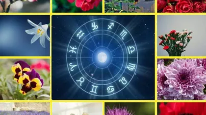 Horoscop Mărţişor. Ce floare eşti în funcţie de data naşterii şi cât noroc vei avea în viaţă