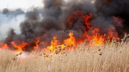 Bărbat cu arsuri pe 90% din corp după ce a încercat să stingă singur un incendiu de vegetaţie