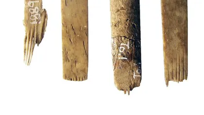 A fost descoperită cea mai veche trusă de tatuaj din lume. Are 2.700 de ani şi e făcută din oase de om