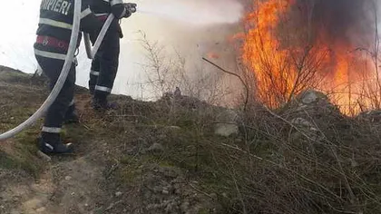 Incendiu de vegetaţie în Tulcea. Pompierii intervin pentru ca flăcările să nu ajungă la casele din zonă