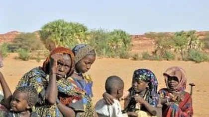 Summit extraordinar al statelor sahelo-sahariene, în Ciad, pentru o tranziţie paşnică în Sudan şi încetarea luptelor în Libia