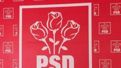 PSD a votat: Guvernul Dăncilă merge în Parlament pentru votul de restructurare UPDATE