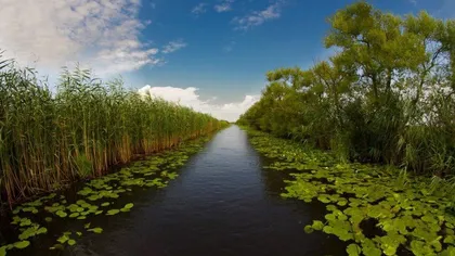 Incredibil! Delta Dunării poate deveni primul producător de peşte bio din Europa