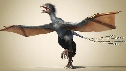 Dinozaur cu aripi de liliac, descoperit în China