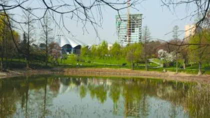 Protest inedit în Parcul Circului: Cetăţenii vor să atragă atenţia asupra nivelului scăzut al lacului