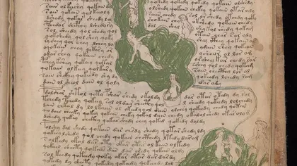 Incredibil! Un strămoş al limbii române, găsit în cel mai misterios manuscris din lume
