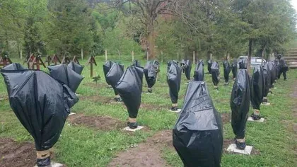 Incidentele de la Valea Uzului. MApN propune un dialog cu autorităţile de la Budapesta pe tema cimitirelor militare