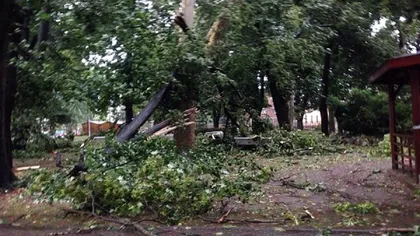 Trei autospeciale de Poliţie, lovite de un copac doborât de furtună