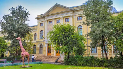 Academia Română: Ideea de a cere Muzeului Antipa să cedeze teren pentru construirea Muzeului Holocaustului, inadecvată şi păguboasă