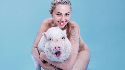 I-a murit porcul lui Miley Cyrus. Cântăreaţa este devastată de durere, anunţul acesteia pe Instagram