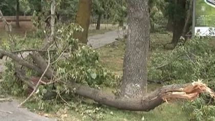 Urmările dezastrului din Mehedinţi. Oraşul Drobeta Trunu-Severin a fost devastat de furtună VIDEO