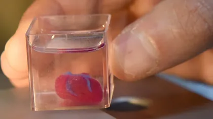 Realizare revoluţionară! Cercetători americani au imprimat în 3D părţi funcţionale ale inimii