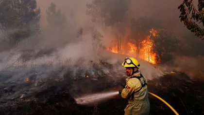 Incendiu forestier pe o insulă turistică populară. Cinci mii de persoane au fost evacuate de urgenţă