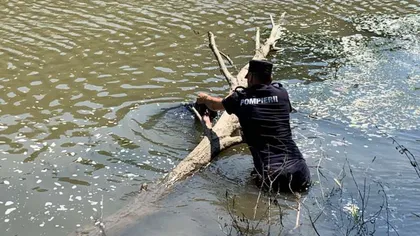 O femeie de 50 de ani a murit înecată pe râul Olt