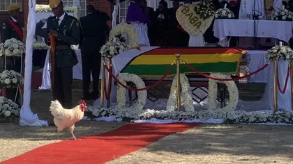 Robert Mugabe a fost înmormântat într-o curte plină de praf. Familia nu l-a lăsat în Panteonul eroilor