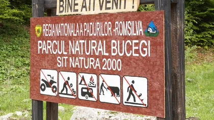 Un grup de parlamentari a protestat pe platoul Parcului Natural Bucegi pentru interzicerea construirii în zonă de case de vacanţă