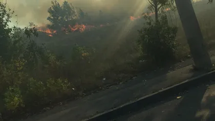 Incendiu puternic în Bucureşti în apropiere de Delta Văcăreşti - VIDEO UPDATE