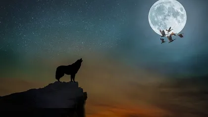 Horoscop WEEKEND de dragoste 11-13 octombrie 2019. Luna plină în Berbec. Renunţare. Eliberare. De la capăt