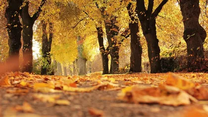 PROGNOZA METEO octombrie: Se anunţă temperaturi uşor mai ridicate decât normalul perioadei. Când va mai ploua