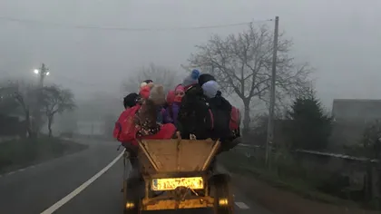 România educată. Copiii dintr-o comună din Bacău ajung cu căruţa la şcoală VIDEO