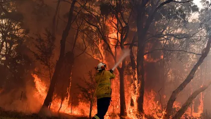 Australia, în luptă cu incendiile de vegetaţie