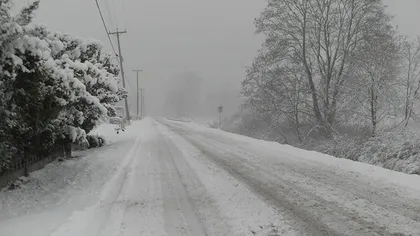 Atenţie la depăşirile pe timp de iarnă! Accident spectaculos filmat de la bordul unei maşini, un şofer a ajuns în şanţ VIDEO