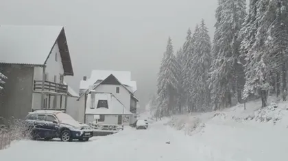 NINGE la munte. Se intervine pe mai multe drumuri din cauza zăpezii căzute în ultimele ore VIDEO